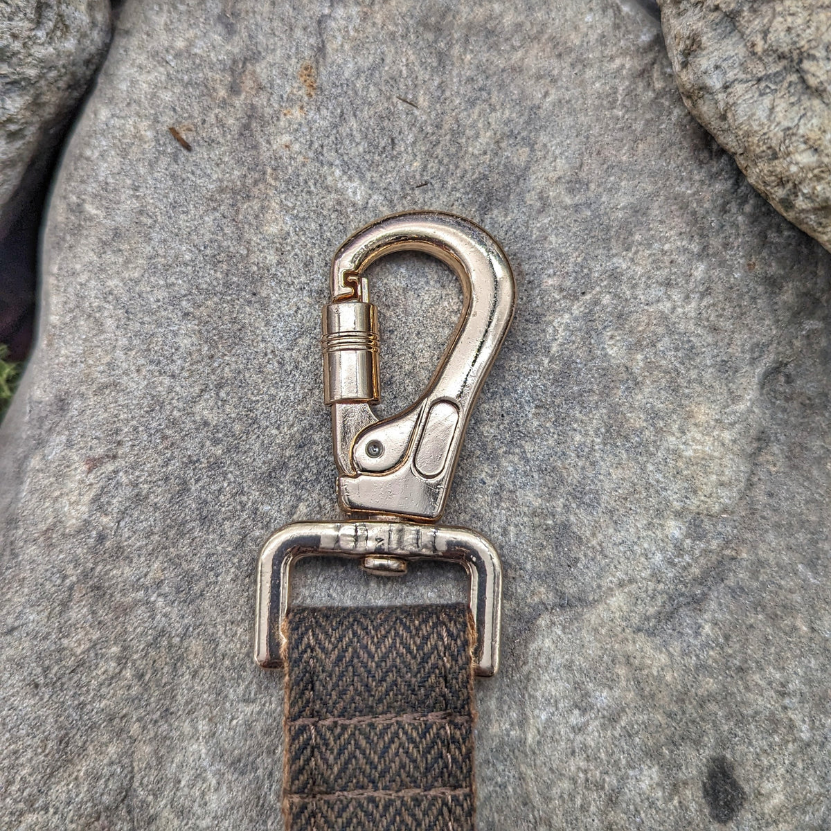 Fenrir's Lead - Horns of Odin