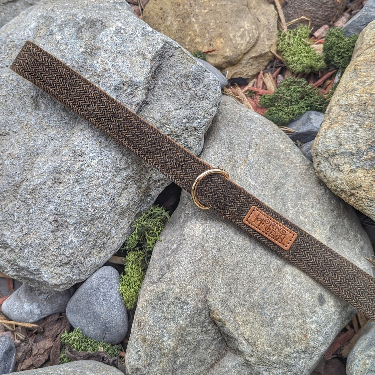 Fenrir's Lead - Horns of Odin