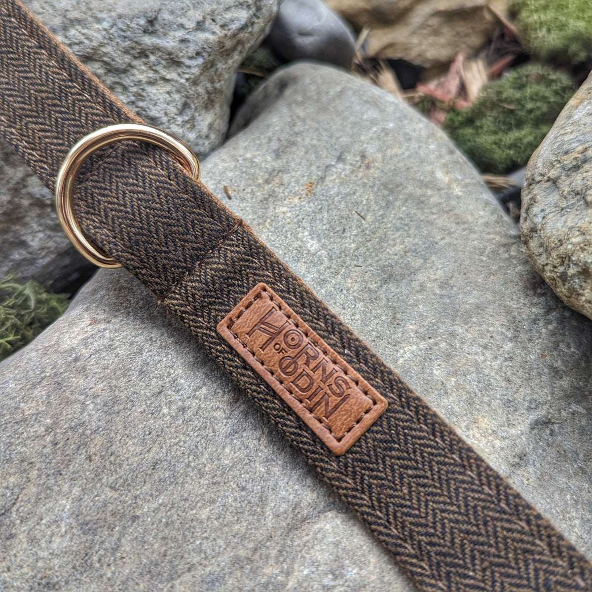 Fenrir's Lead - Horns of Odin