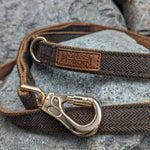 Fenrir's Lead - Horns of Odin