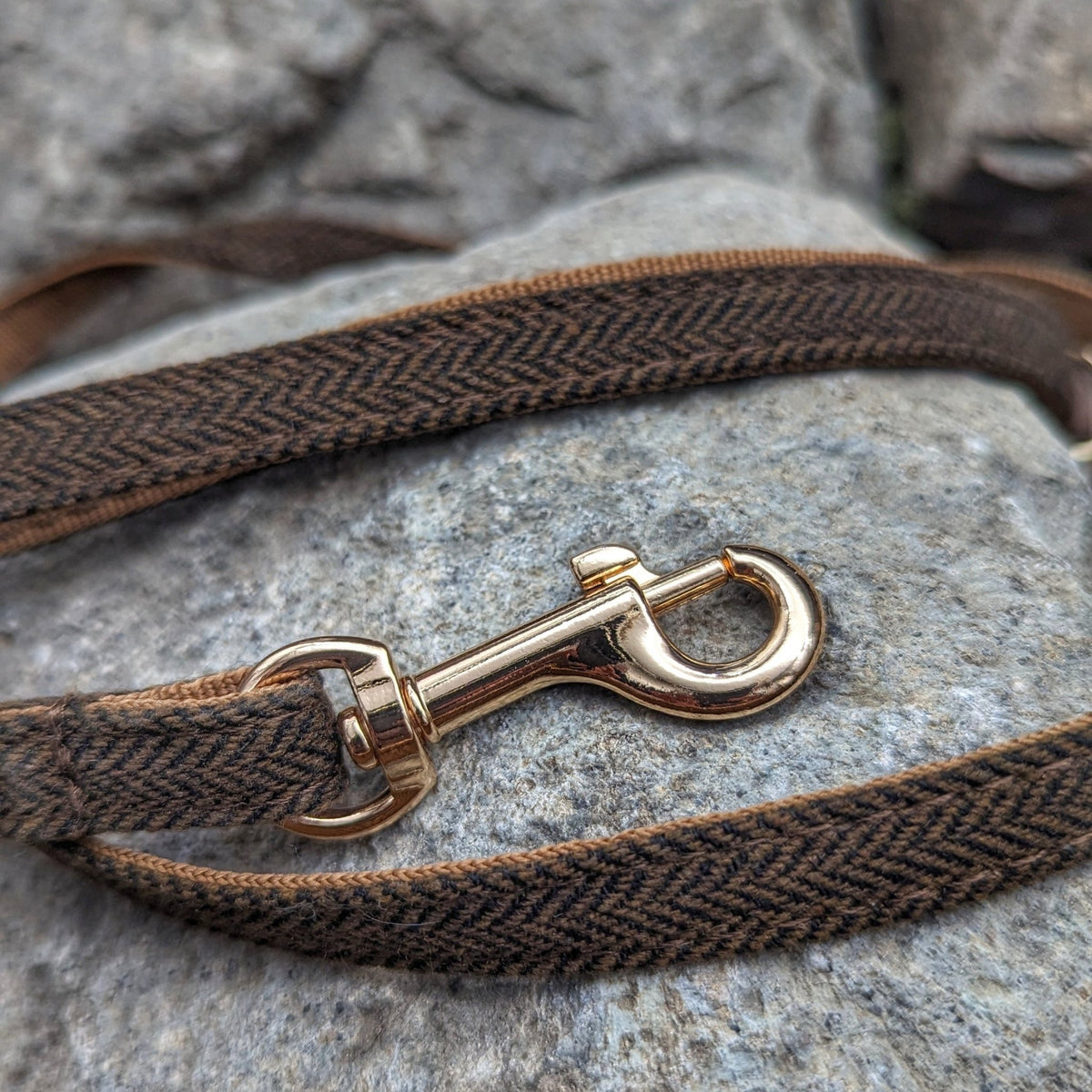 Freya's Cat Collar, Bow Tie + Lead Combo - Horns of Odin