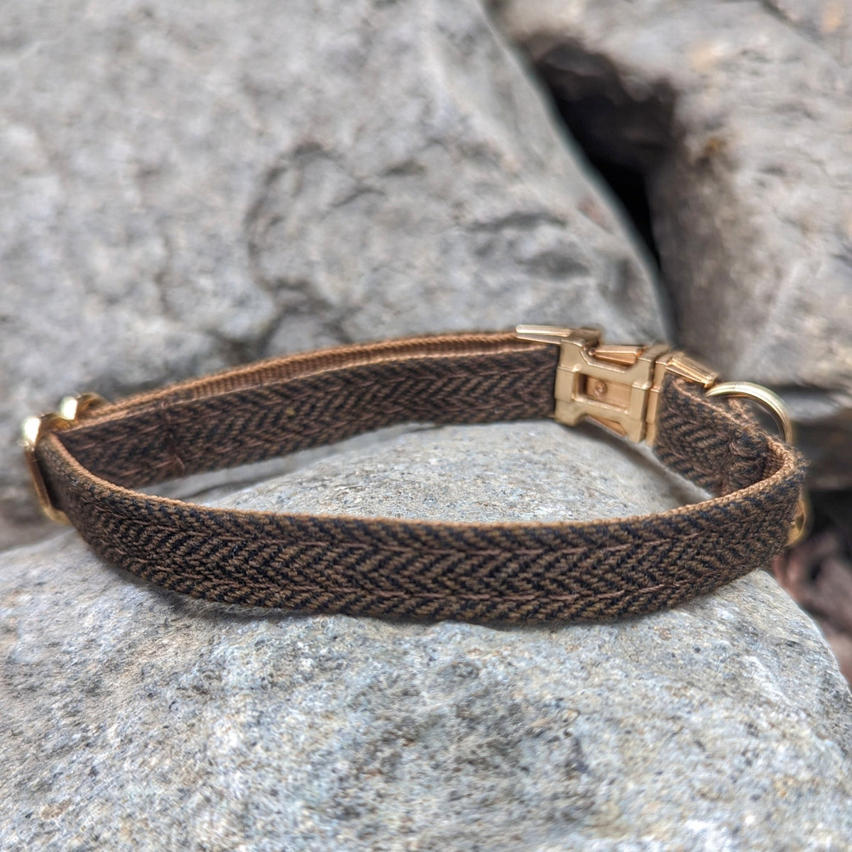 Skoll's Puppy Collar