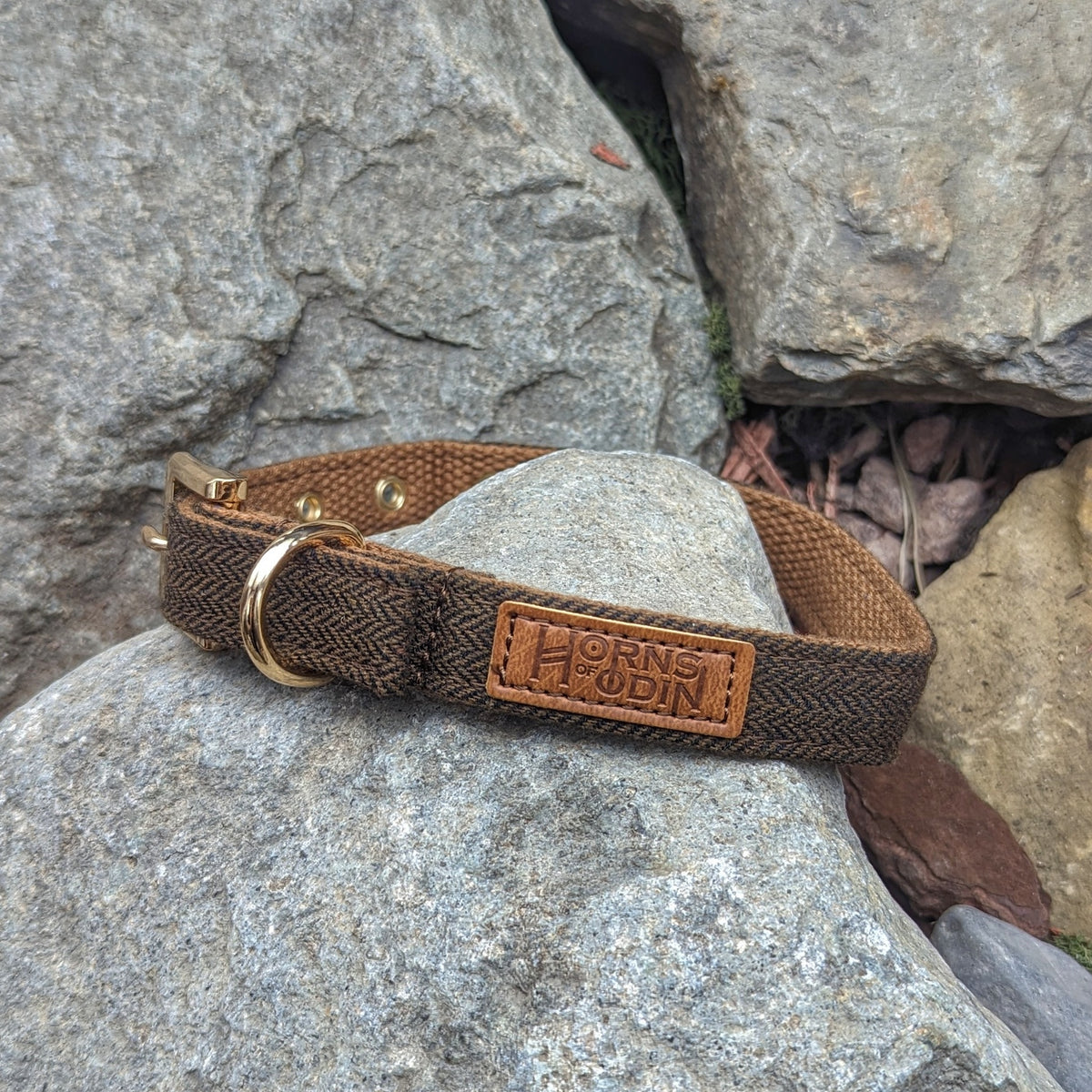 Fenrir's Collar, Bow Tie + Lead Combo