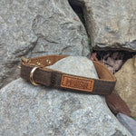 Fenrir's Collar, Bow Tie + Lead Combo