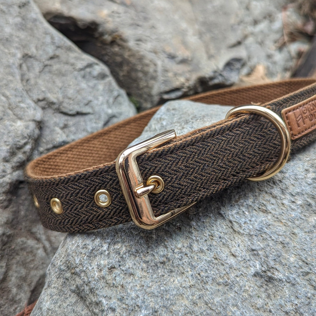 Fenrir's Collar - Horns of Odin