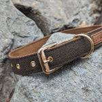 Fenrir's Collar - Horns of Odin