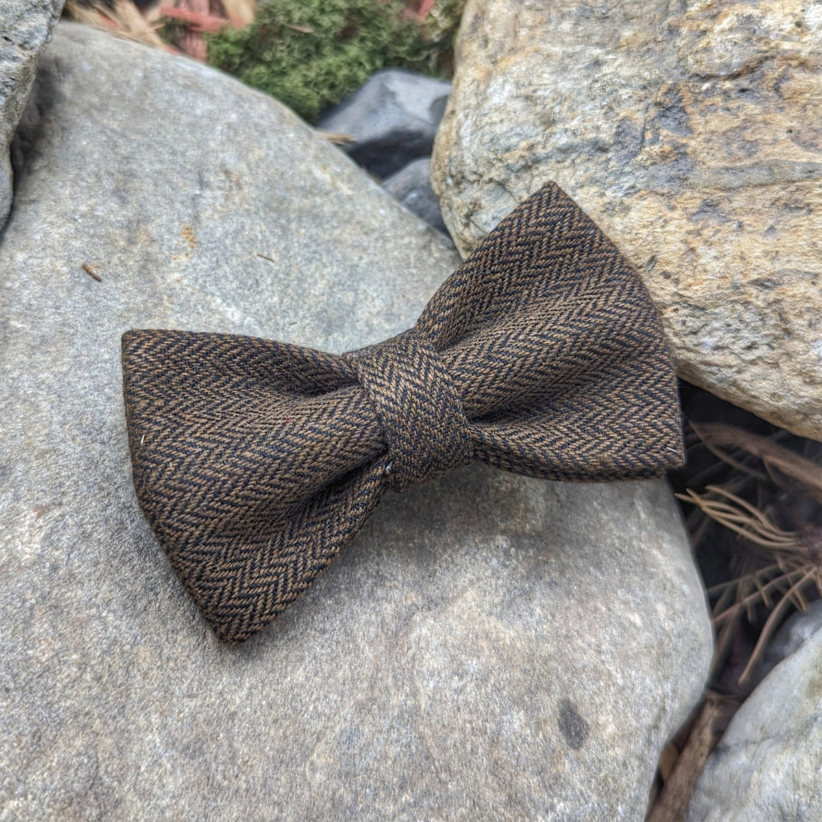 Freya's Cat Bow Tie