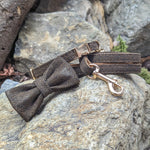 Freya's Cat Collar, Bow Tie + Lead Combo