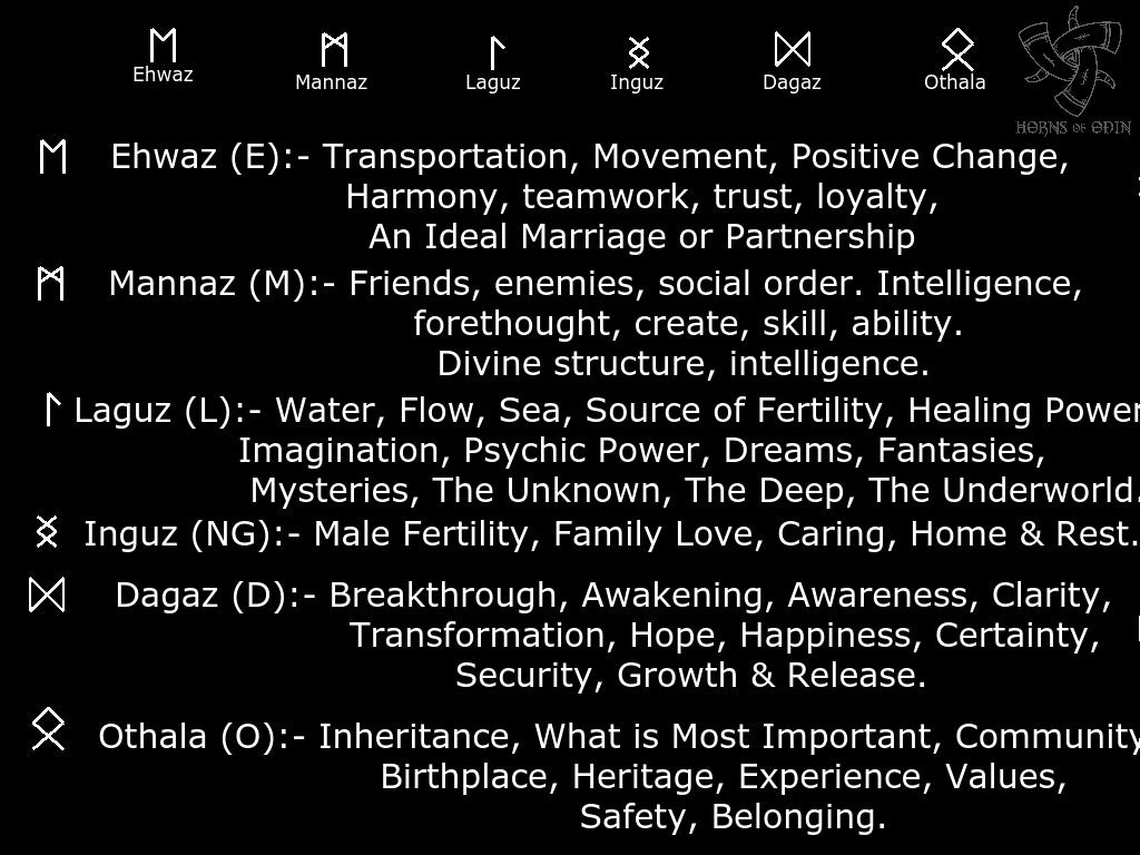 Custom Bindrune Drinking Horn