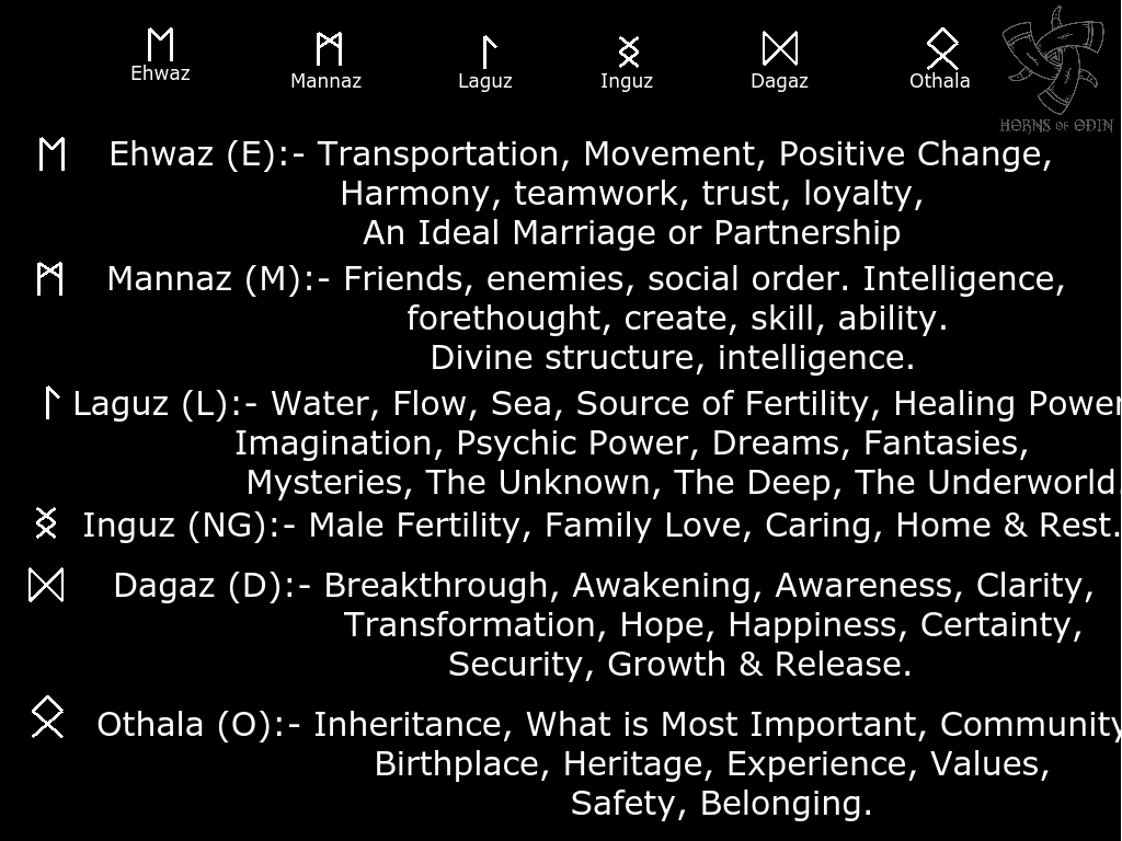 Rune Spirit horn - Horn mug - Horns of Odin