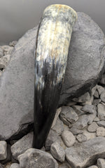 Large Rustic War Horn