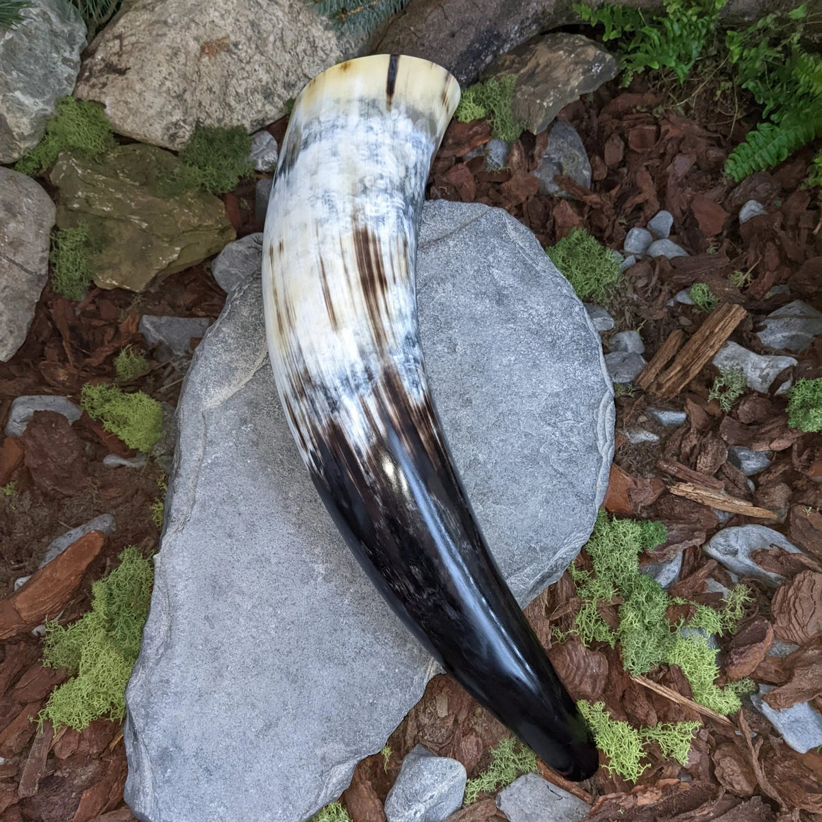 Large War Horn - War horn - Horns of Odin