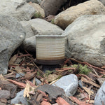 Kvasir's Goblet - Rim - Mug - Horns of Odin