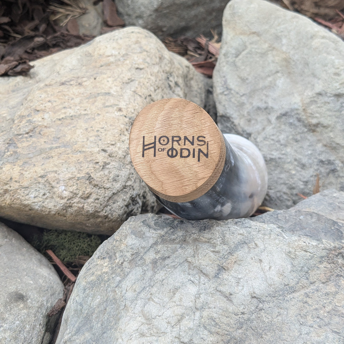 Horn Mug name in English Cole - A Grade