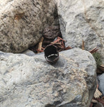 Wolf Armour Ring - Ring - Horns of Odin