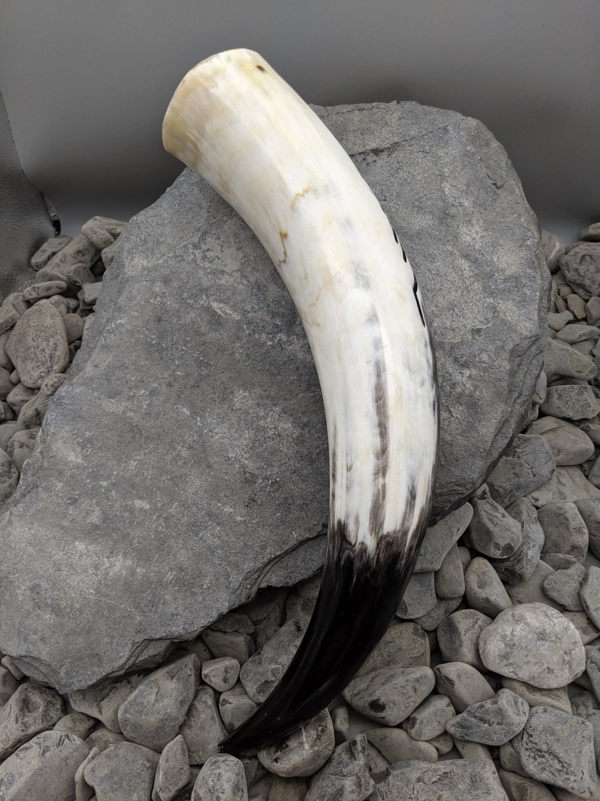 Bind Rune Drinking Horn - Drinking horn - Horns of Odin