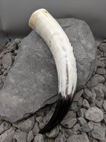 Bind Rune Drinking Horn - Drinking horn - Horns of Odin