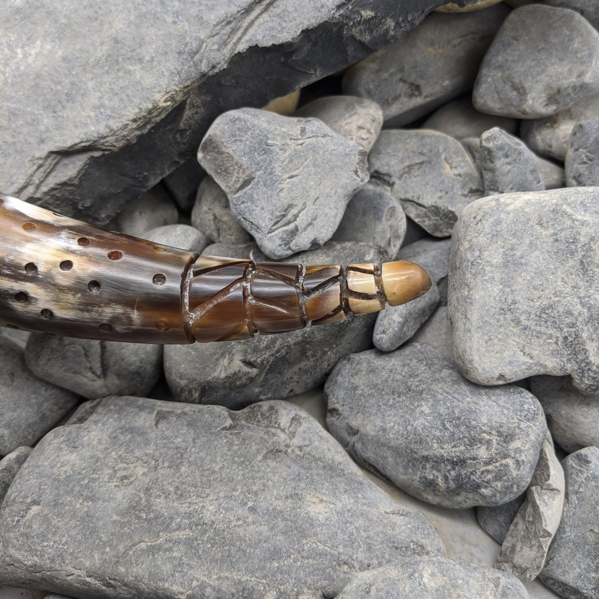 Urnes Dragon Horn - Drinking horn - Horns of Odin