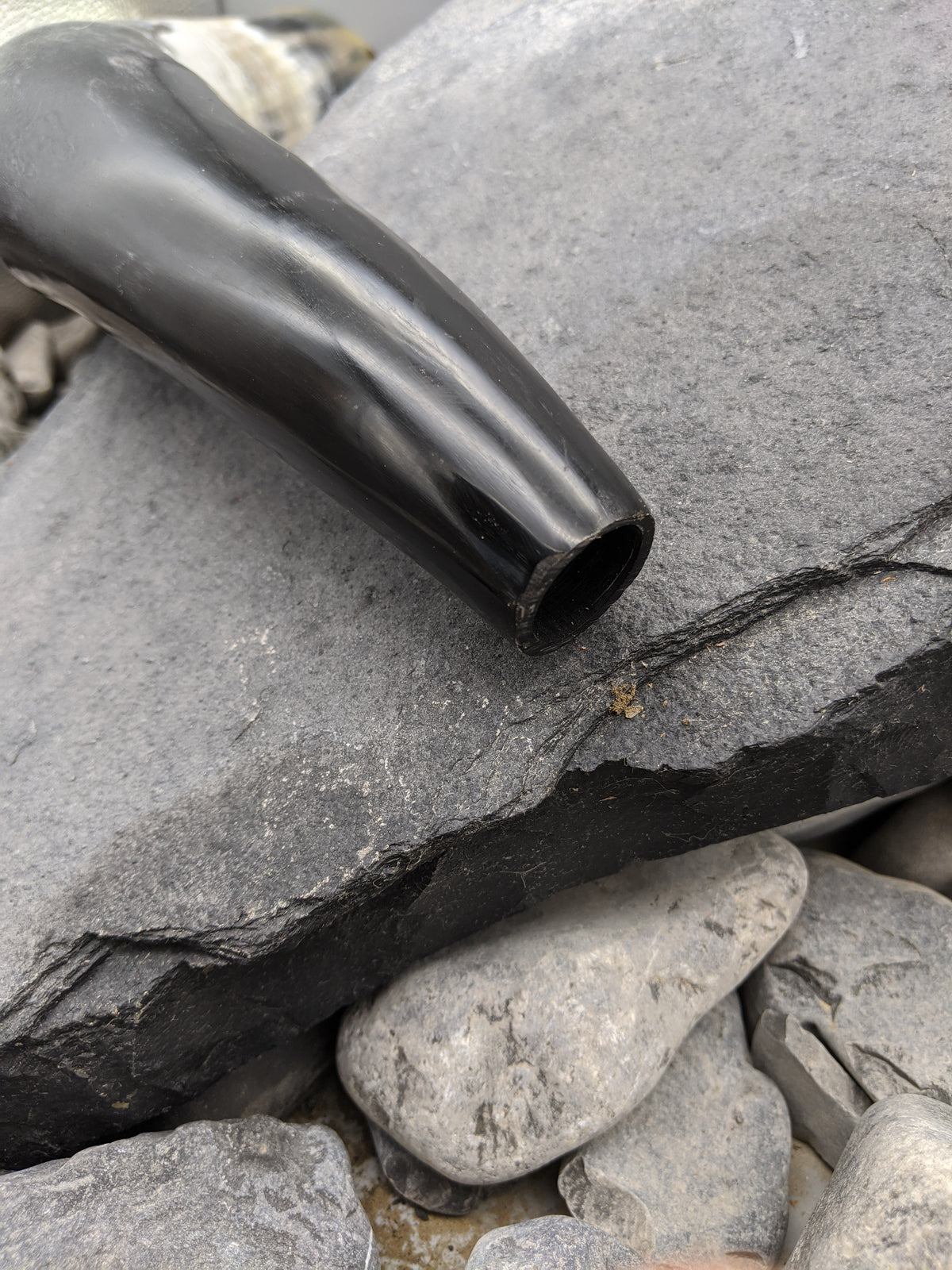 Large War Horn - War horn - Horns of Odin