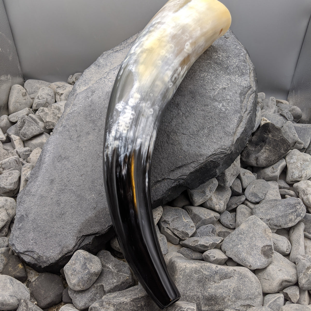 War horn - War horn - Horns of Odin