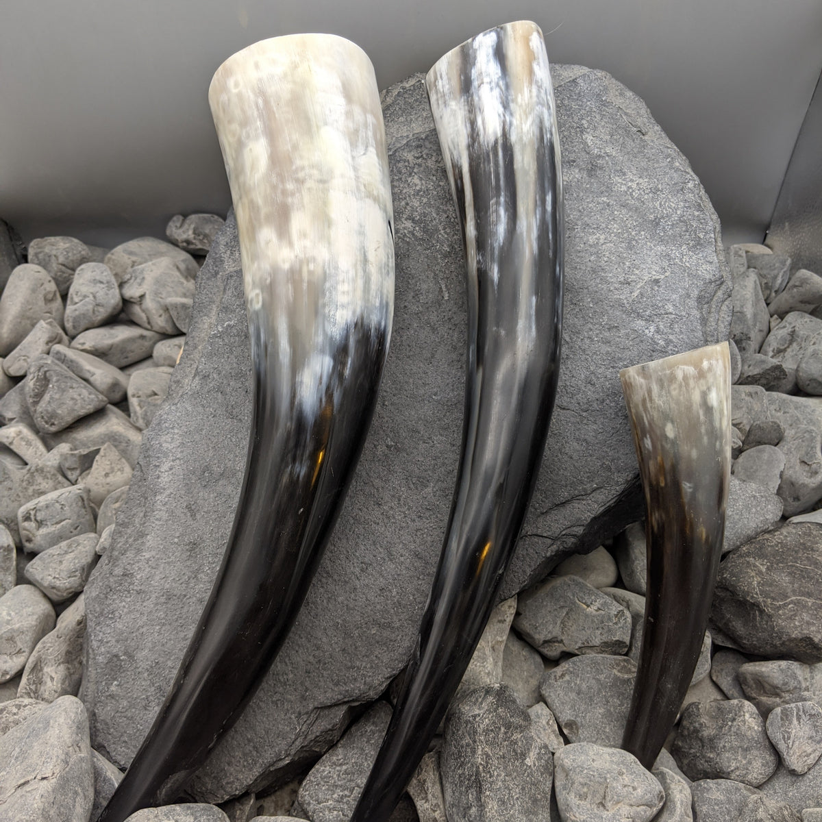 Plain Drinking Horn - Drinking horn - Horns of Odin