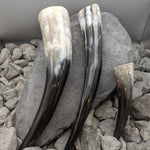 Plain Drinking Horn - Drinking horn - Horns of Odin