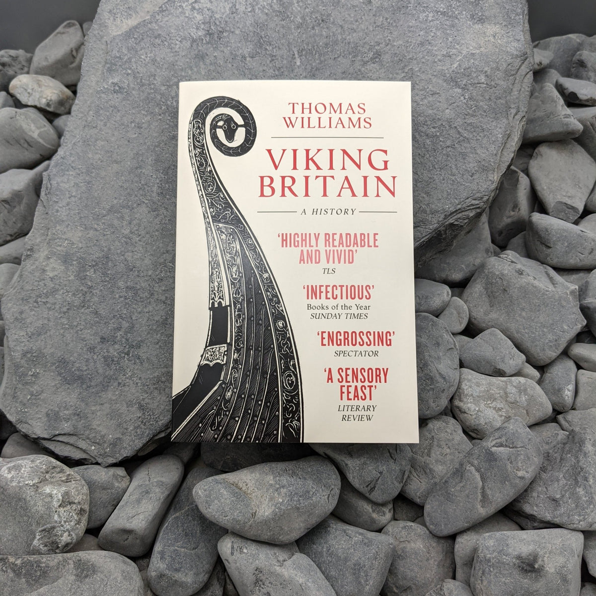 Viking Britain - Book - Horns of Odin
