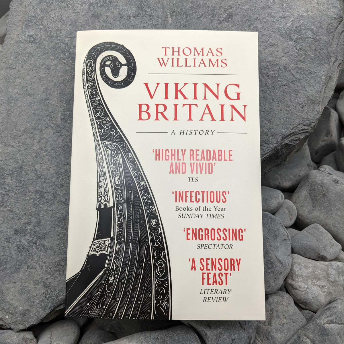 Viking Britain by Thomas Williams