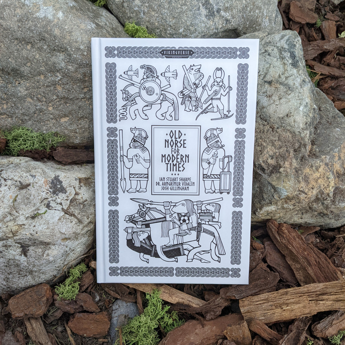 Old Norse for Modern Times