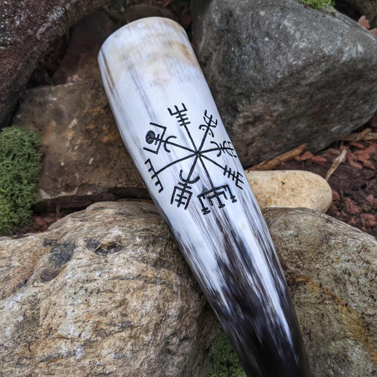 Vegvisir drinking horn