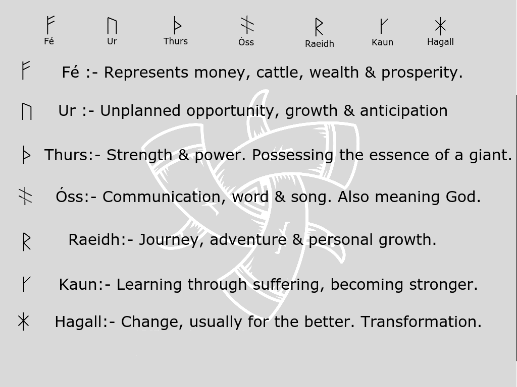 Rune Shield Ring (Younger Futhark) - Ring - Horns of Odin