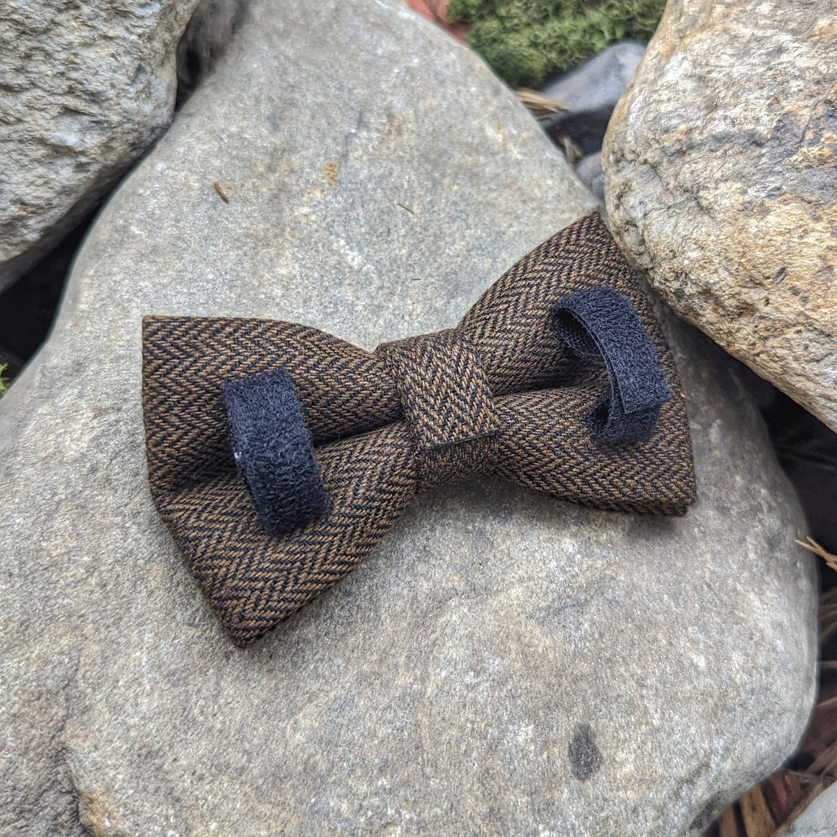 Fenrir's Collar, Bow Tie + Lead Combo