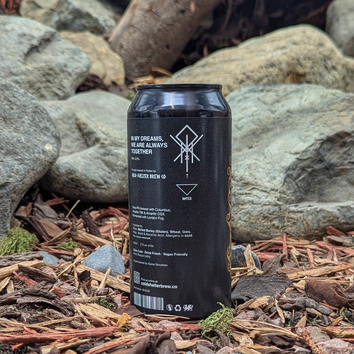 In My Deams, We Are Always Together - IPA (6.5%)