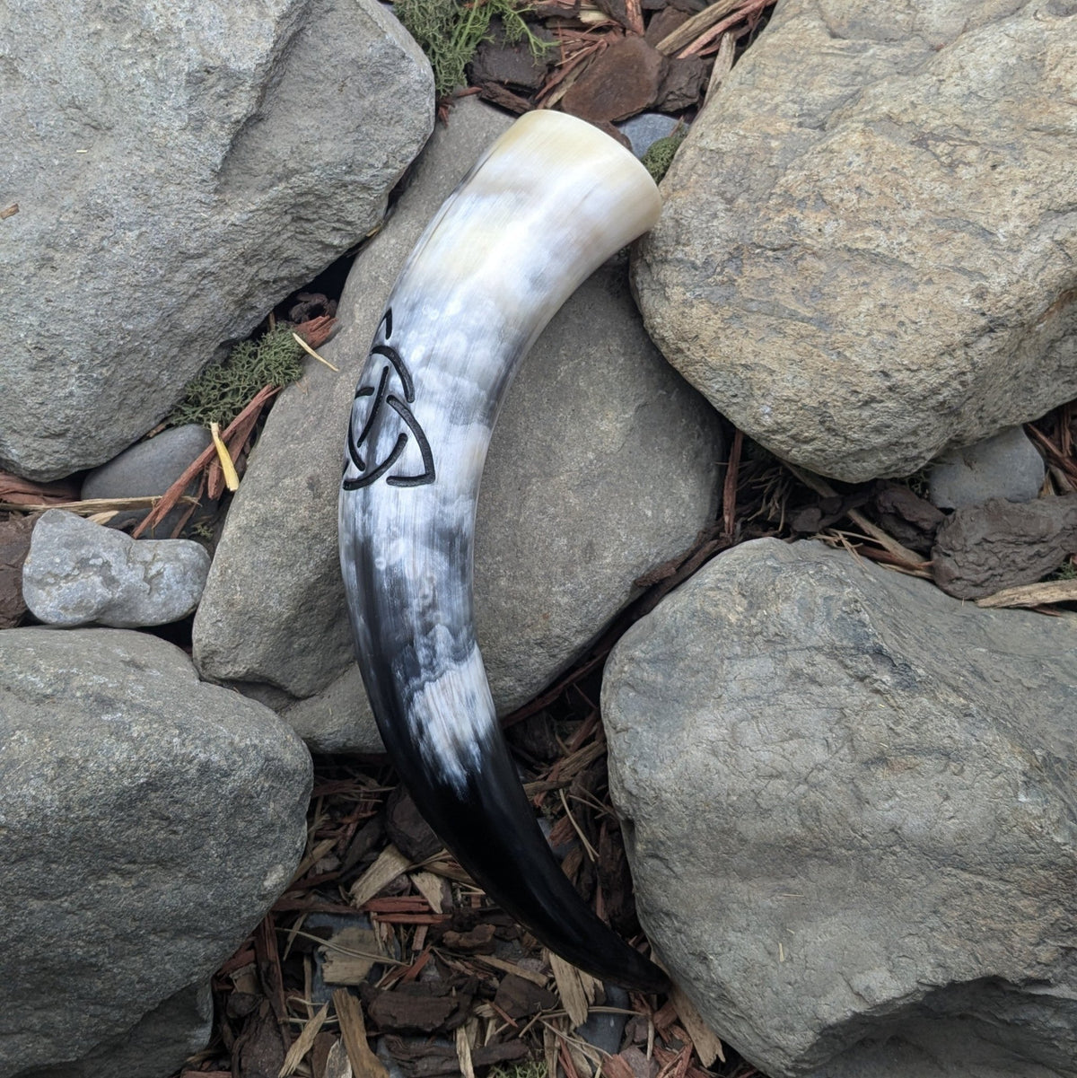 Triquetra (Relief) Drinking Horn - A Grade - Drinking horn - Horns of Odin