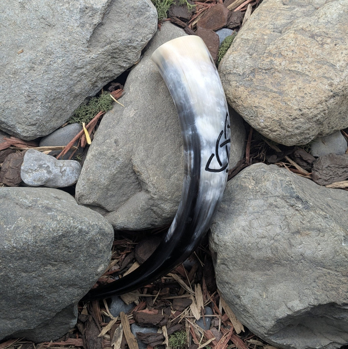 Triquetra (Relief) Drinking Horn - A Grade - Drinking horn - Horns of Odin