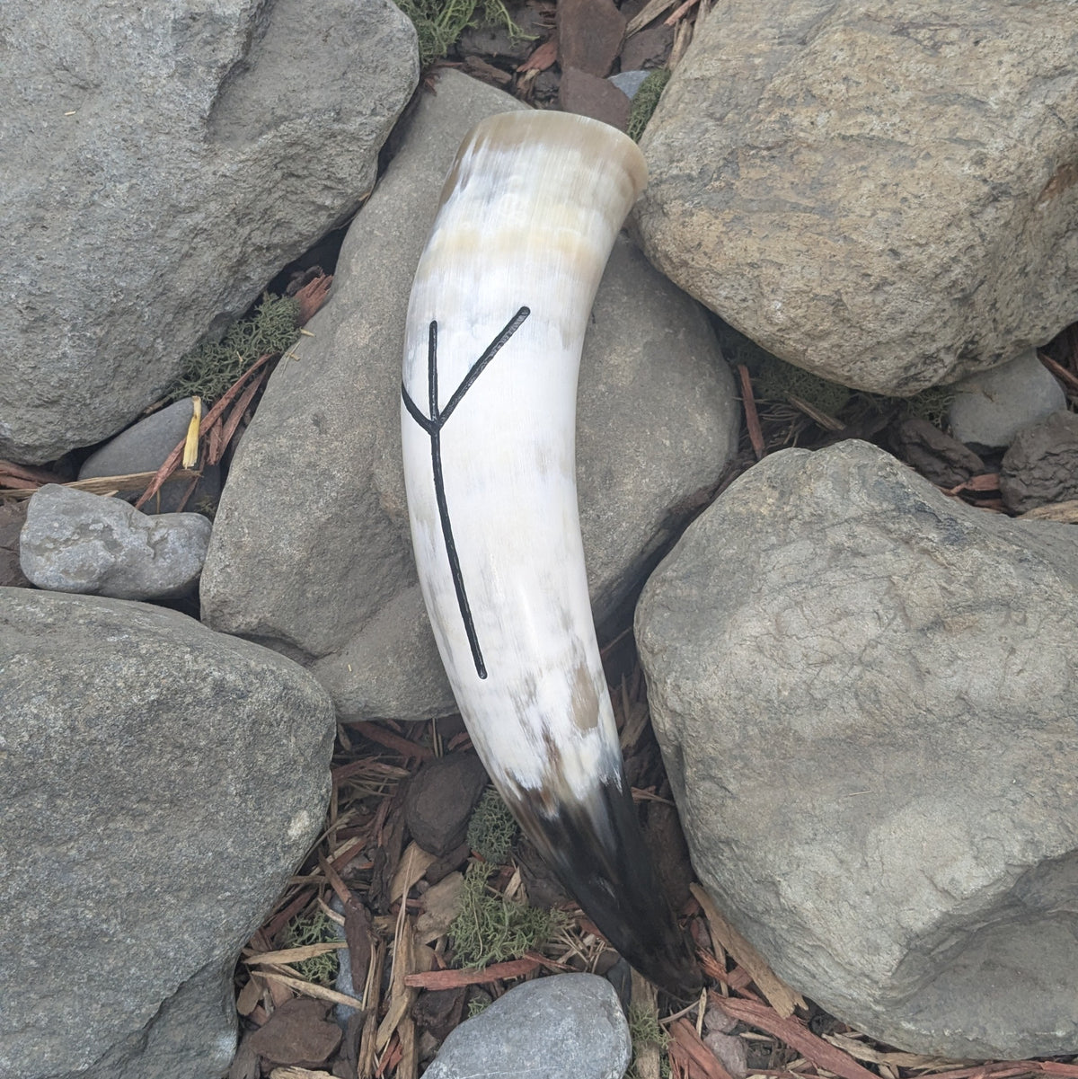 Rune Drinking horn - Algiz - A Grade