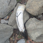 Rune Drinking horn - Algiz - A Grade