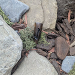 Rune Horn Pendant (Elder Futhark)