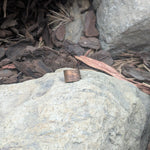 Hugin and Munin Ring -Small - A Grade