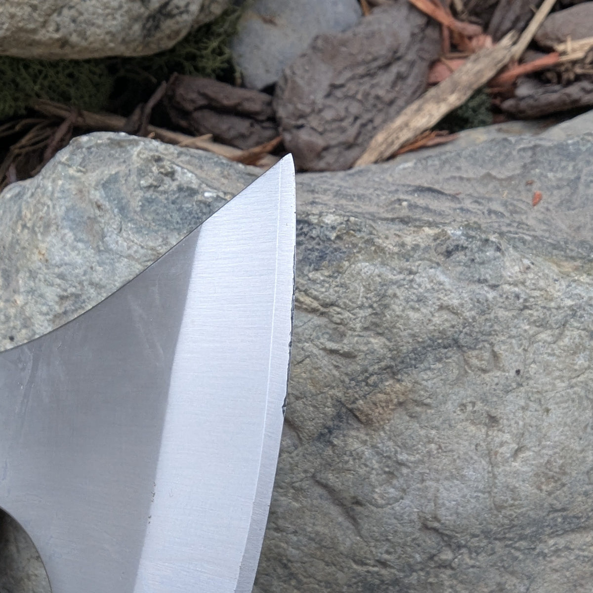 Freyja's Skeggox - A Grade