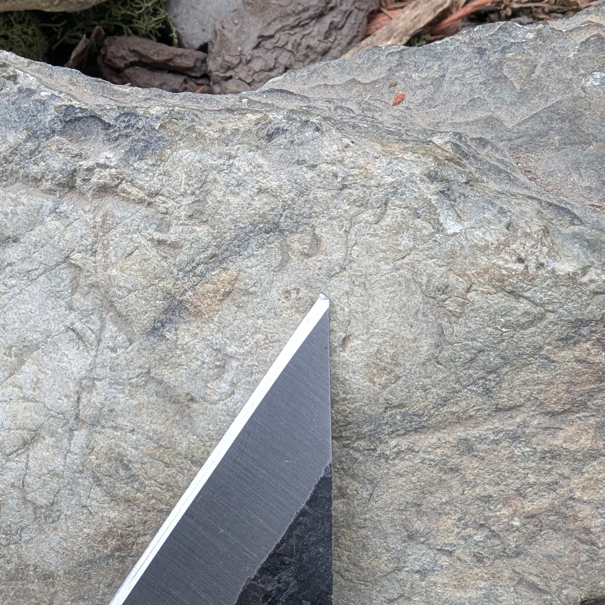 Tyr's Seax - A Grade