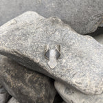 Silver Raven ear ring