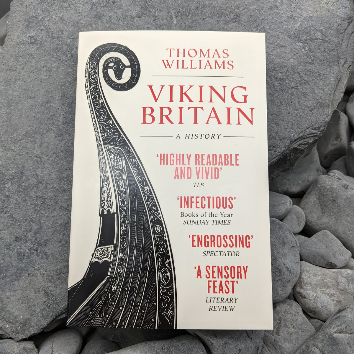 Viking Britain by Thomas Williams 